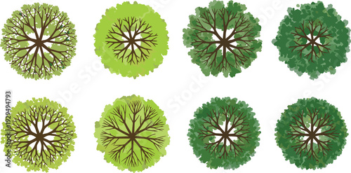 Collection of flat vector tree symbols in top view perspective featuring various green foliage textures for landscape architecture and planning.