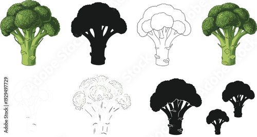 Broccoli vector icon and illustration set. Flat, silhouette and line art vegetable designs. Fresh organic healthy food collection isolated on white background.