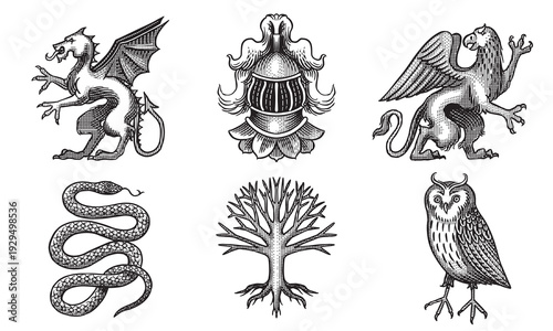 Heraldic Dragon, knight and gryphon and snake, owl for coat of arms design and shield. Hand drawn engraving in old traditional medieval style, modern made element for family symbols and logo templates