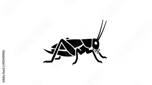 Detailed black silhouette of a grasshopper standing still, isolated white background.