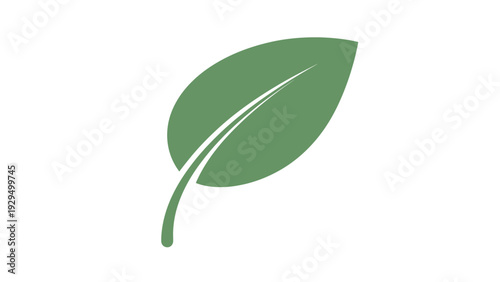 Fresh Green Leaf Isolated White Background
