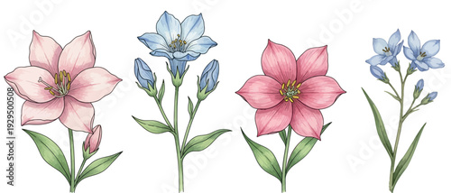 Elegant watercolor floral set featuring charming pink and blue blossoms with delicate buds, perfect for spring and summer designs, invitations, greeting cards, and decorative elements