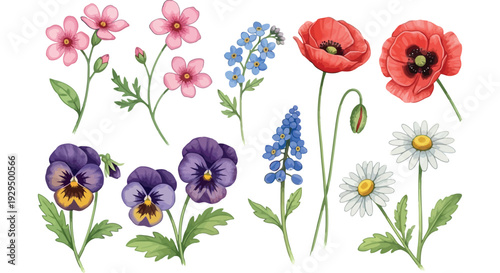 Watercolor flower set with vibrant poppies, pansies, daisies, and a variety of colorful spring blossoms, ideal for invitations, cards, and creative designs