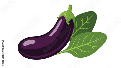 Fresh purple eggplant with a green stem is shown next to two vibrant green leaves for a healthy vegetable garden theme.