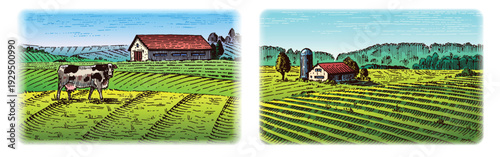 Rustic meadow hand drawn village landscape with a cow illustration with fields. Beautiful scentic view for milk, cheese farm products. Eco food.