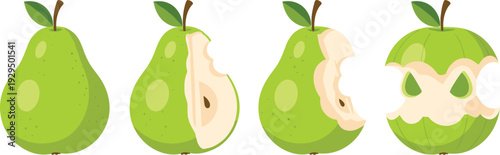 Green pear vector set. Whole, sliced and bitten pear fruit illustrations with leaf and seeds. Fresh organic fruit collection isolated on white background.