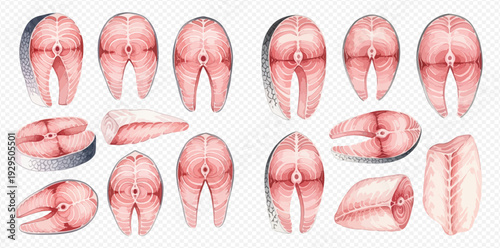 Fresh raw salmon and tuna fish steaks and fillets set, watercolor illustration of seafood.