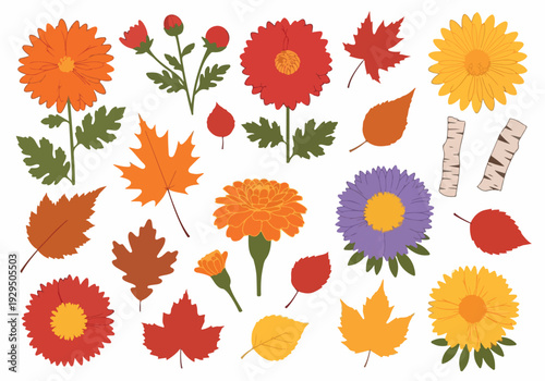 Vibrant Autumn Floral and Leaf Assortment A Collection of Seasonal Mums and Maple Leaves
