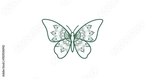 Beautiful Green Butterfly Closeup Detailed.