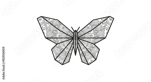 Black and White Butterfly Illustration.