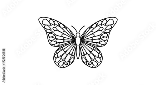 Black and White Butterfly Illustration.