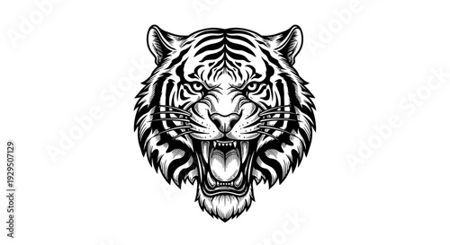Black and White Tiger Head Illustration.