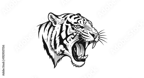 Black and White Tiger Head Illustration.