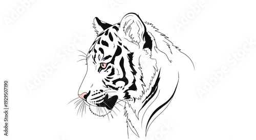 Striking black and white line art illustration of a white tiger head in profile view with its mouth slightly open and sharp gaze.