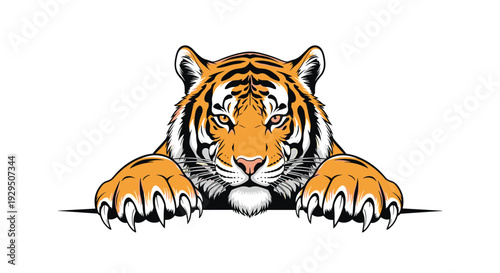 Powerful tiger illustration shows the head and sharp claws of the large predator appearing to grip the edge of a surface in a dramatic perspective.