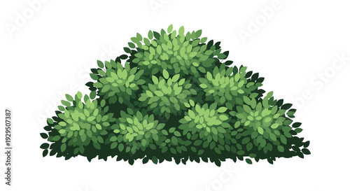 Lush green garden bush or shrub with detailed leaves is shown as a single isolated element on a white background for landscape design projects.