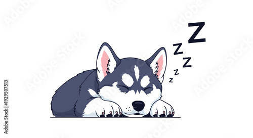 Cute Siberian husky puppy sleeping soundly on white background with Z symbols representing peaceful dreams and deep rest.