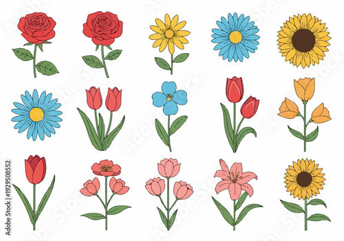 Collection of Various Flower Illustrations with Detailed Petals and Stems, Perfect for Spring and Garden Themed Designs