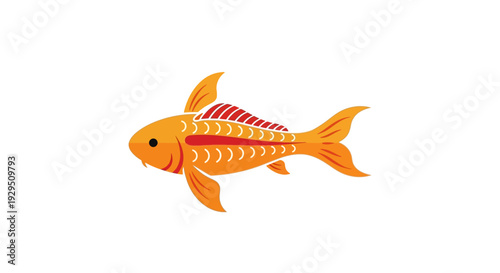 Orange Koi Fish Illustration Isolated on White.