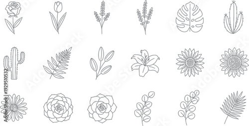 Collection of minimalist line art botanical elements featuring various flowers and plants
