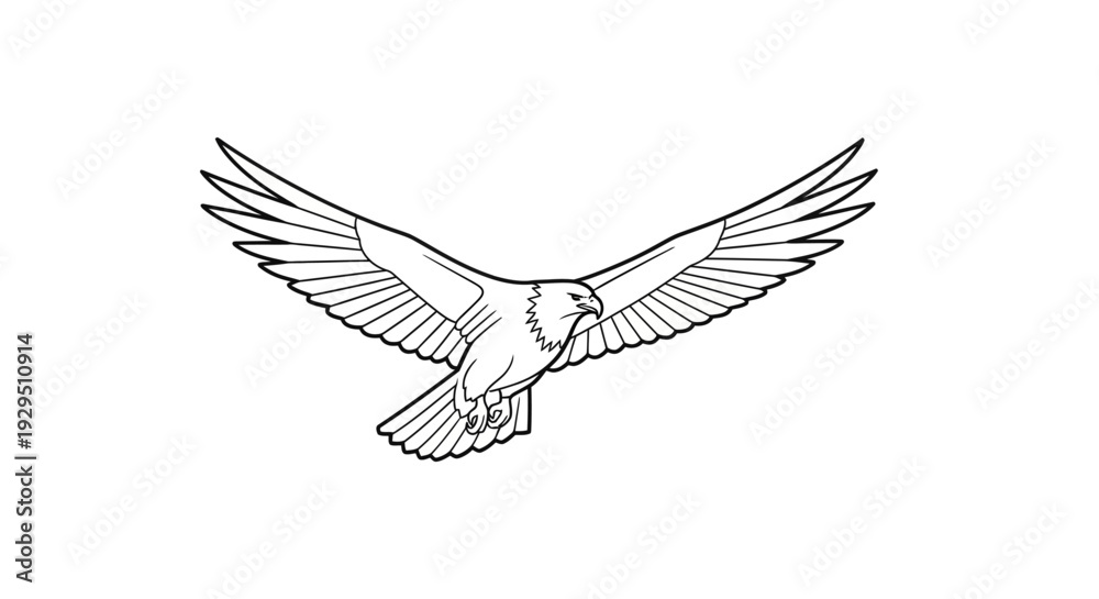 Obraz premium Bird in flight with outstretched wings.
