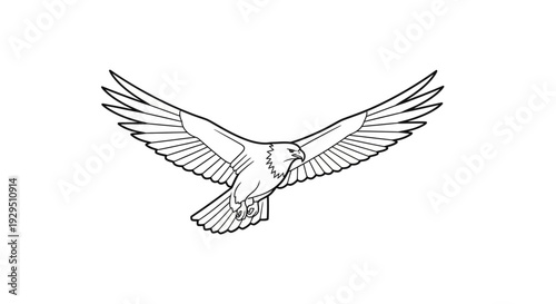 Bird in flight with outstretched wings.