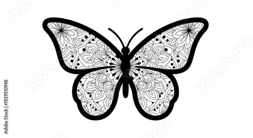 Black and White Butterfly Illustration with Patterns.
