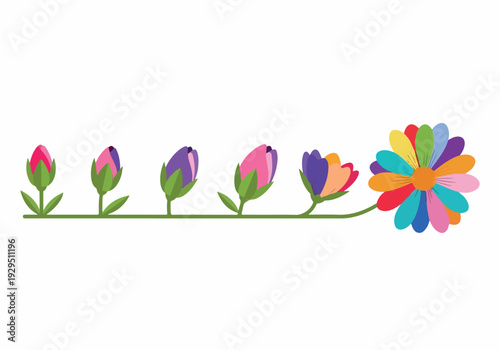 A sequence of flower buds transforming into a vibrant, multi-colored bloom, symbolizing growth, development, and the beauty of nature's evolution