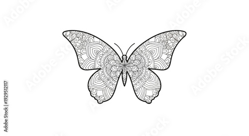 Butterfly with ornate wing patterns.