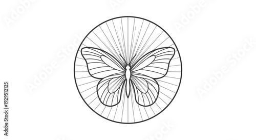 Butterfly Insect Wing Drawing Art.
