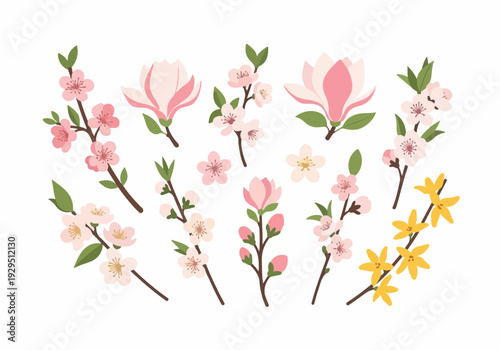 Collection of exquisite floral branches, featuring delicate cherry blossoms and vibrant forsythia blossoms, perfect for spring and nature-themed designs