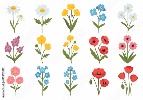 Collection of beautiful wildflowers, including poppies, daisies, and forget-me-nots, perfect for spring and summer floral arrangements