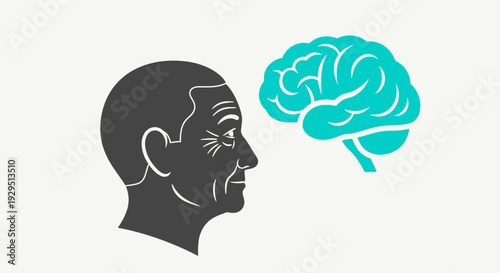 Human Head with Brain Illustration Showing Thought Process and Cognitive Functionality