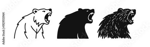 Roaring Bear Icon Set in Outline, Solid, and Hand Drawn Styles on White Background