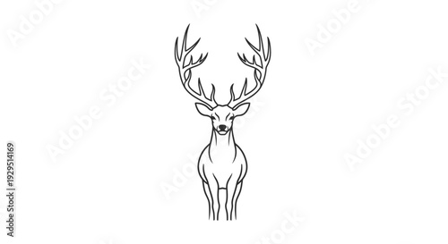 Deer with large antlers standing.