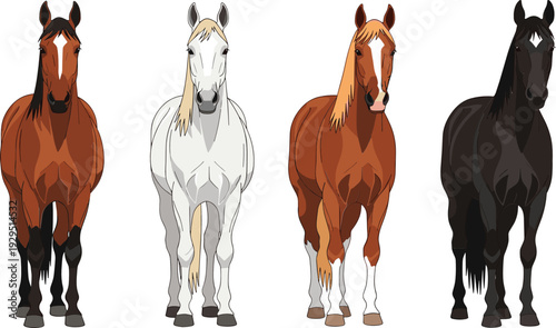 Realistic Horse Collection with Brown White Chestnut and Black Stallions Front View Flat Vector Illustration Set