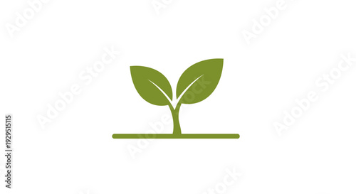 Green plant sprout with leaves growing.