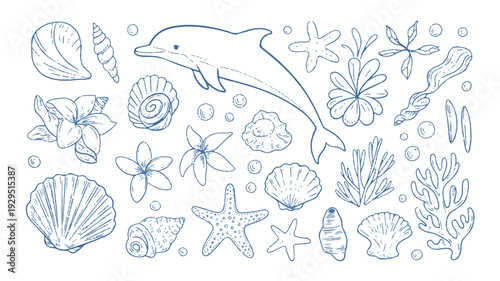 Hand-drawn marine life elements including dolphin, seashells, and seaweed arranged in a flat lay style illustration