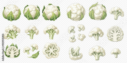 Cauliflower vegetable set: whole, half, and florets for healthy eating and cooking.
