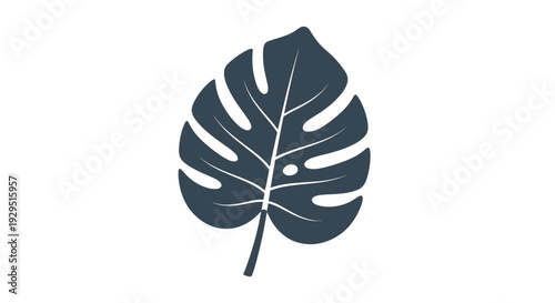 Large Dark Green Tropical Leaf Closeup.