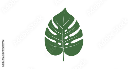 Large green leaf with holes.