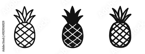 Pineapple Icons Set in Outline, Solid Glyph, and Hand-Drawn Doodle Styles on White Background
