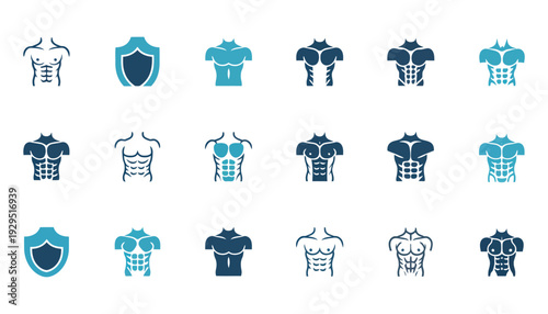 Male torso vector icon, muscular chest and abs symbols, fitness and health illustration, gym workout design, anatomy logo concept, male body vector.