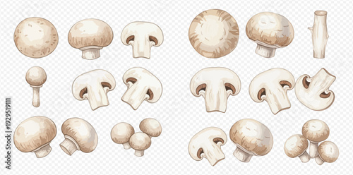 Watercolor illustration of various fresh and sliced champignons on a transparent background, perfect for culinary designs.