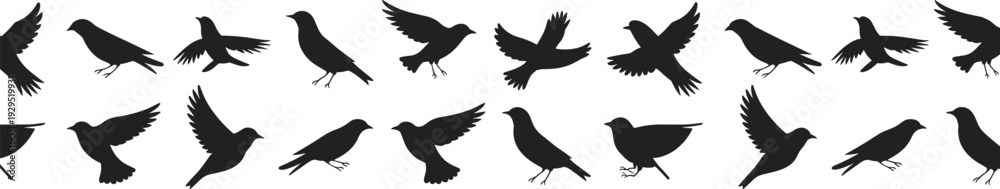 Fototapeta premium Bird Silhouette Icon Set Featuring Flying and Perching Avian Shapes for Wildlife Nature Design Ornithology Concepts and Decorative Graphic Elements