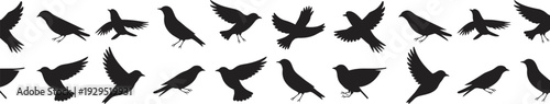 Bird Silhouette Icon Set Featuring Flying and Perching Avian Shapes for Wildlife Nature Design Ornithology Concepts and Decorative Graphic Elements