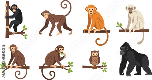 Flat vector set of primate characters including monkeys, gorilla, chimpanzee, and owl sitting on tree branches for wildlife education, zoo graphics, and animal conservation.