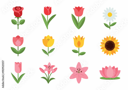 A vibrant collection of various types of flowers, each depicted in a flat, illustrative style with bold colors and clean lines