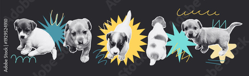 Pop Art halgtone Puppy Collage with Neon Graphic Shapes and doodles elements, retro trend