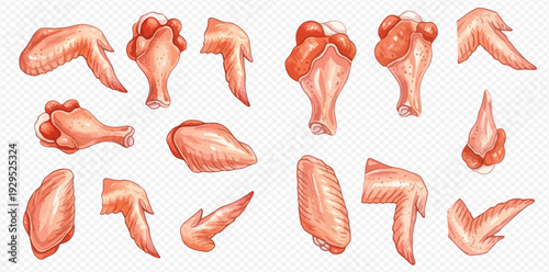 Set of fresh raw chicken meat parts including wings, drumsticks, and fillets, ready for cooking.
